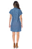 Ramer Denim dress